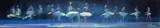 Swan Lake - oil on board - 13 x 75 cm - SOLD
