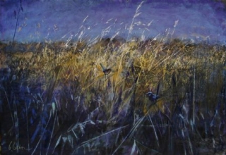 Splendour in the Grass 2 - pastel on board - 55 x 80 cm - SOLD